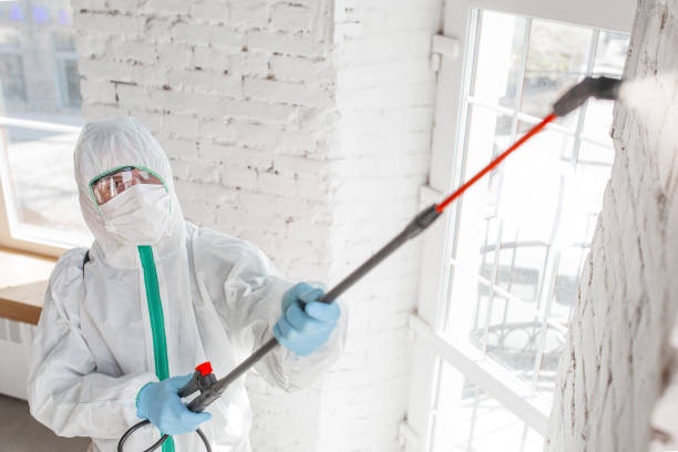 Best HVAC Mold Inspection and Cleaning  in Webster, SD
