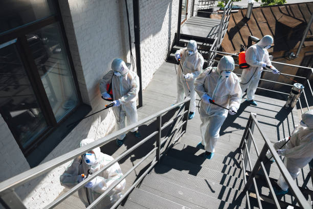Best Mold Damage Restoration  in Webster, SD