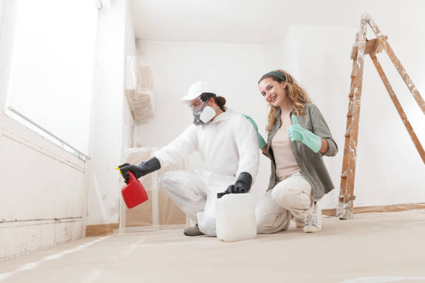 Best Forensic Mold Investigation  in Webster, SD