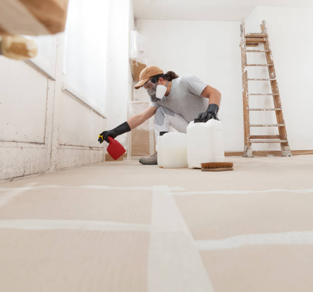 Best Mold Documentation for Insurance Claims  in Webster, SD